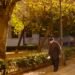 old man walking in the park in Valencia in Spain